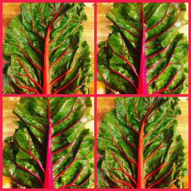 Chard Colors